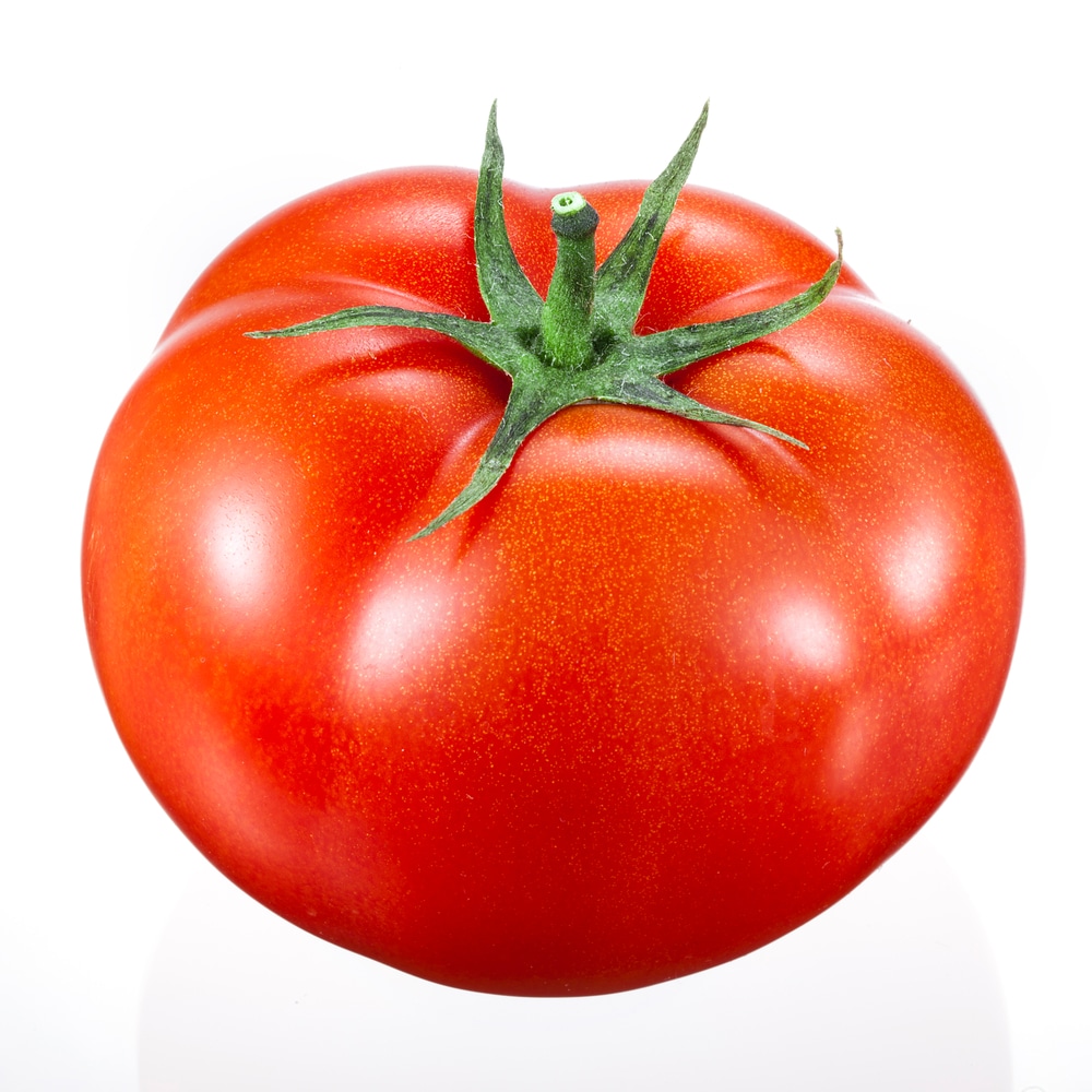 Recettes à la tomate